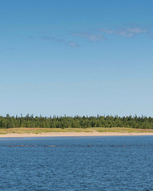 Båtluffa i Luleå och Bottenvikens skärgård | Norrland247