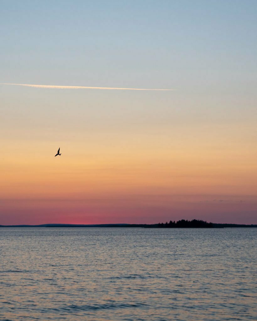 Flygande Tärna i Luleå skärgård