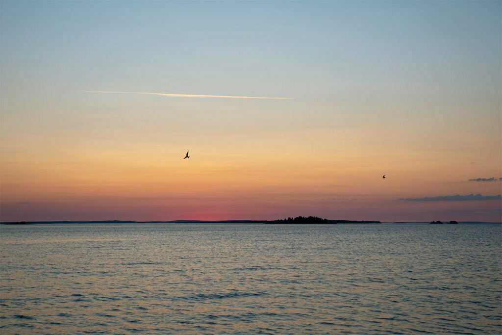 Tärnor i solnedgången i Bottenviken liggande bild 00005 1200x800