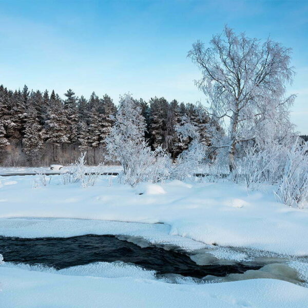 Prästholmsforsen i Råne älvdal vinter nysnö 1200x800 px bild 00047