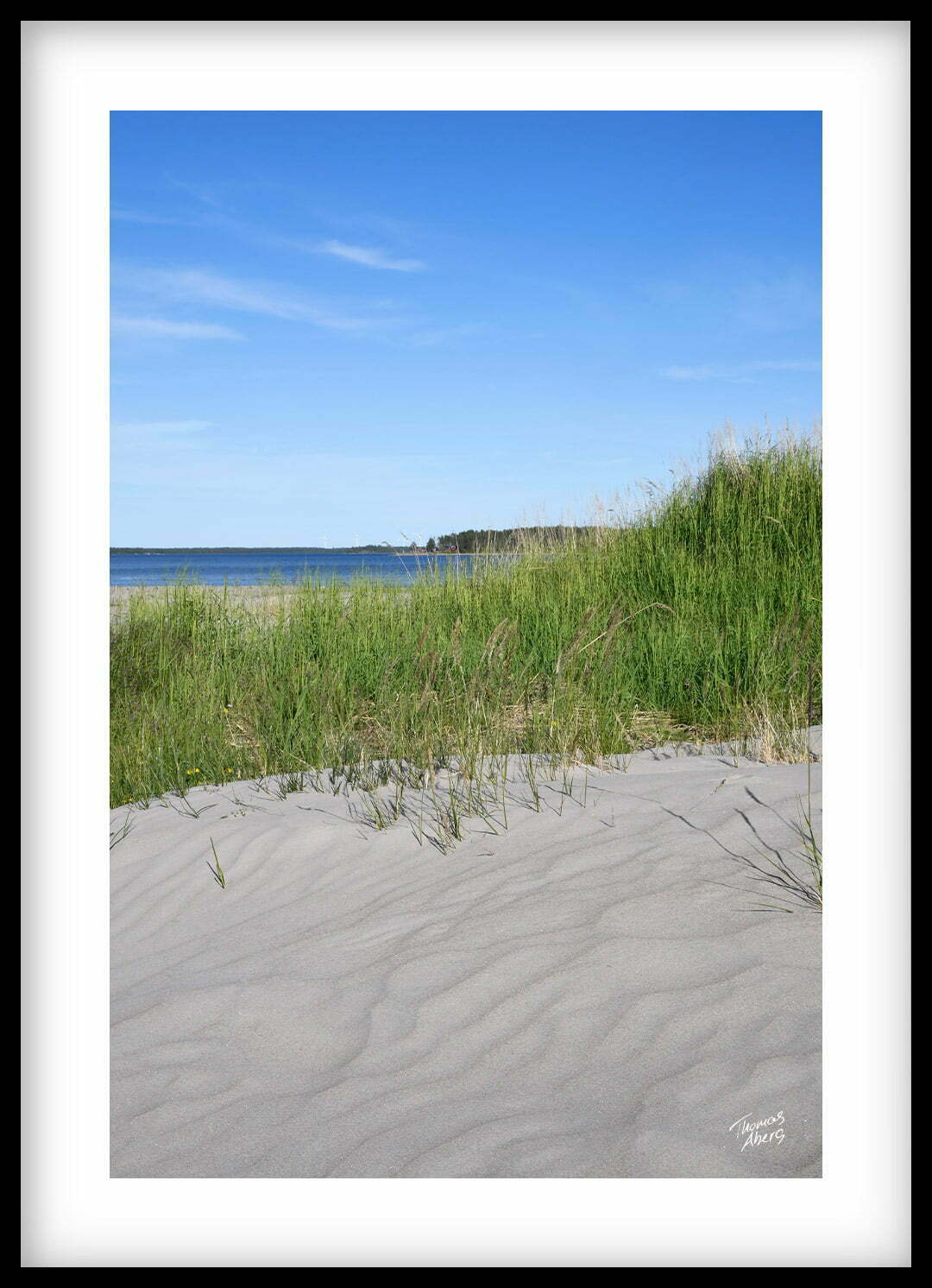Tavla 00135 Pite havsbad vit sand strandråg blått vatten och himmel