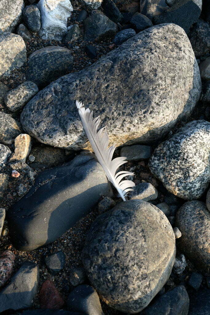 Vit fjäder stenar Bottenviken strand 1080x1620 px bild 00041