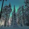 Vinter och norrsken i Ormbergsskogen bild 00156 1080x1350px