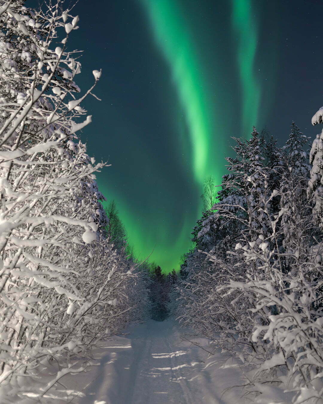 Norrsken över Ormbergets vinterstigar i Luleå vinter snö 1080x1350 bild 00132