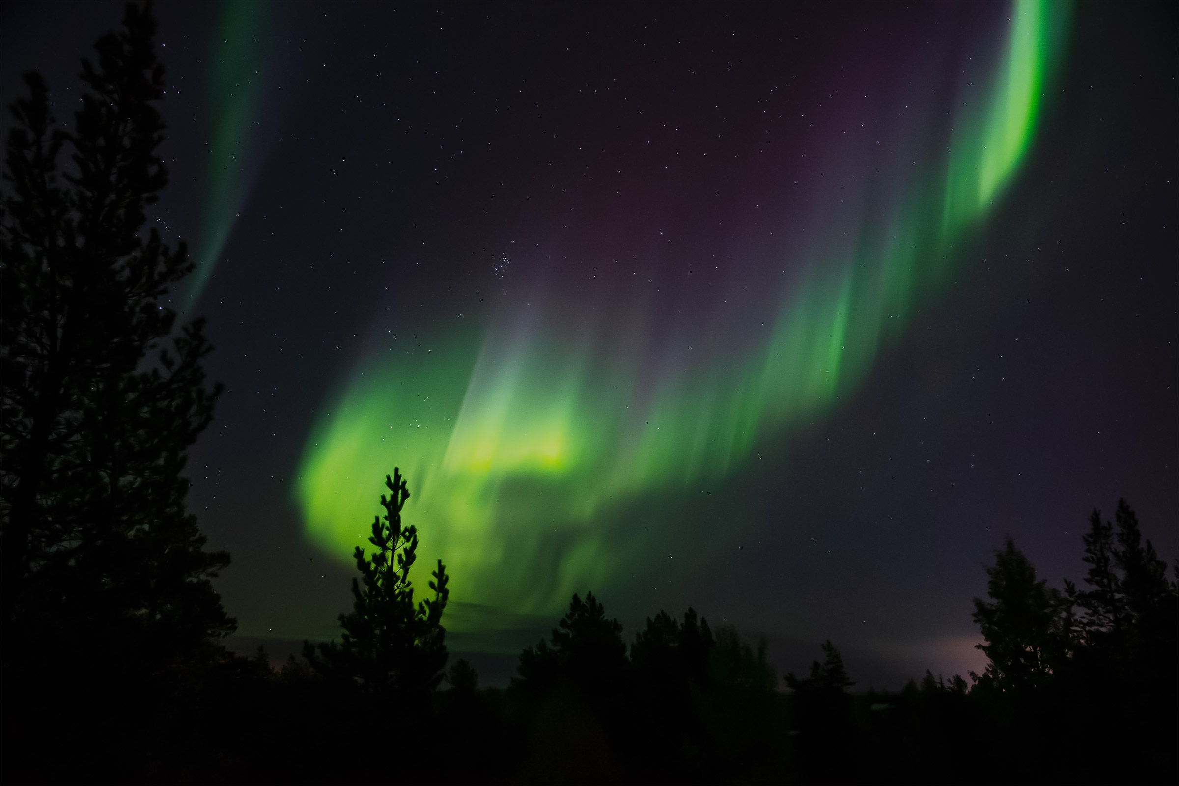 Norrsken Ormberget Luleå